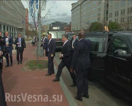 На жовтоблакитных лабутенах: как украинцы встретили Порошенко в США (ФОТО)