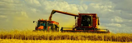 Минагрополитики отчиталось о сборе урожая в Украине