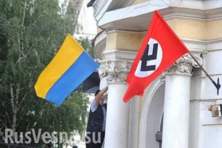 По Фрейду: Украинский политик сравнил Украину с нацистской Германией