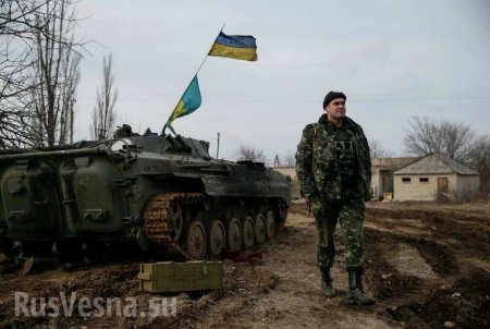 Чем зарабатывают украинские офицеры | Русская весна