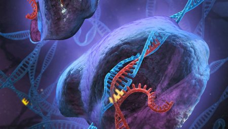 Адаптированный метод изменения генов CRISPR может справиться с неизлечимыми болезнями 