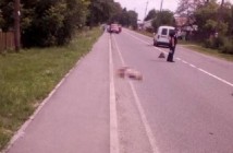 Мосийчук: Во Львовской области пытаются отмазать депутата, который пьяным сбил велосипедистку