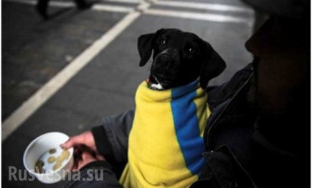 На Украине резко выросло число бедных, а экономическая политика отстала на 20 лет, — Всемирный банк