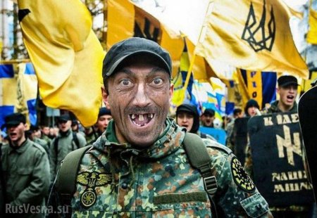 Новый Майдан на Украине стартует 24 августа в День независимости