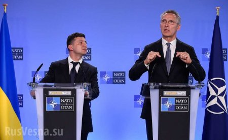 Столтенберг: Зеленский поднимал вопрос членства для Украины в НАТО