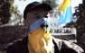 Зрада: стало известно сколько украинцев считают день «незалежности» праздником
