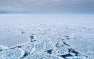 «Прекратите, мы проиграли»: американцы об Арктике