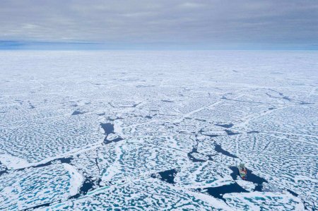 «Прекратите, мы проиграли»: американцы об Арктике