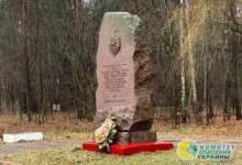 В посёлке Калиновка под Киевом снесли памятник погибшим чекистам