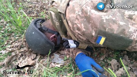 ВСУ заваливают телами позиции российских войск, заявили в ДНР