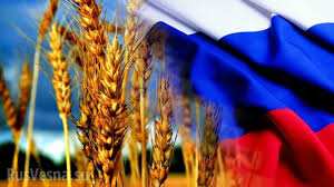Поставки пшеницы из России с начала года выросли примерно на 90%