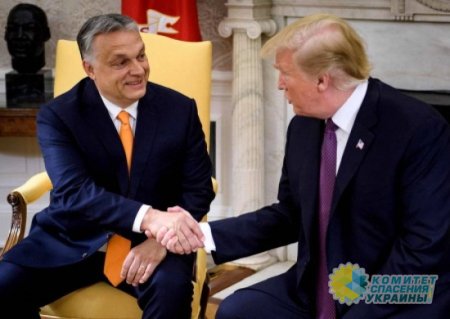 Орбан предрёк мир на Украине и Ближнем Востоке только при одном условии